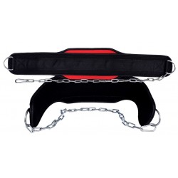Dips Belts